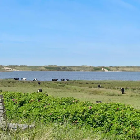 Gorgeous In With Wifi Holiday home *